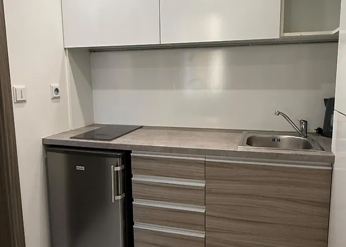 Palac Anezka E1 Lejlighed Brno